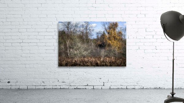 FS231123 Still Creek Wall Preview