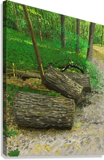 Cut Trees by Path in Forest Canvas Print