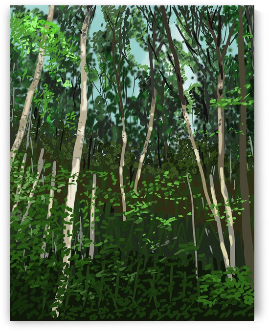 Patterson Forest Trees by sdartlifecreations