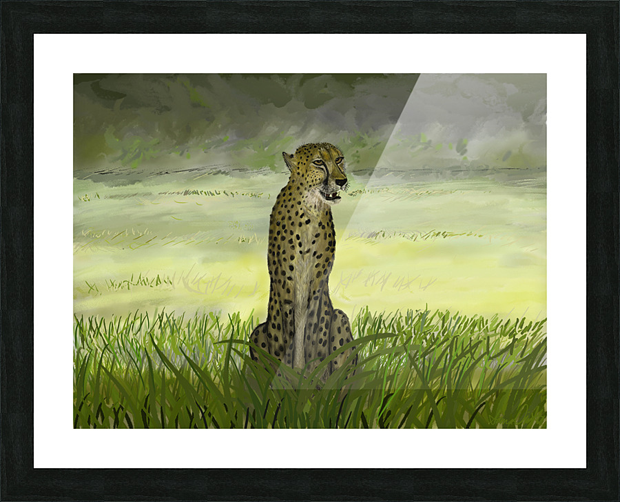 Cheetah Picture Frame print