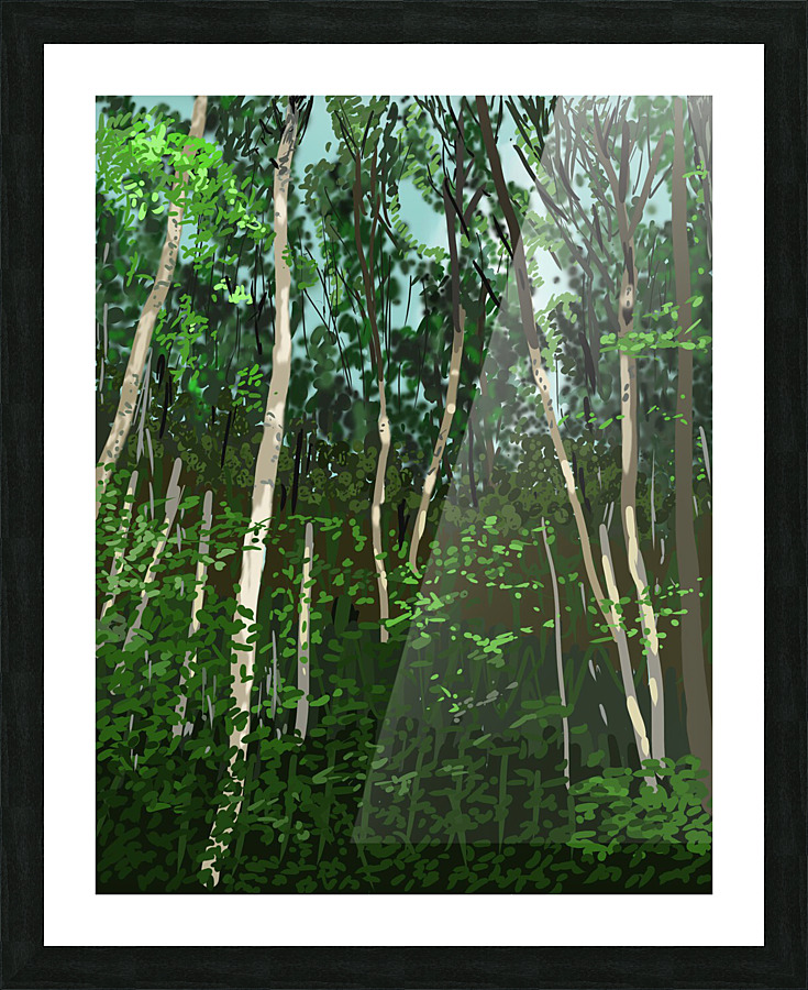 Patterson Forest Trees Picture Frame print