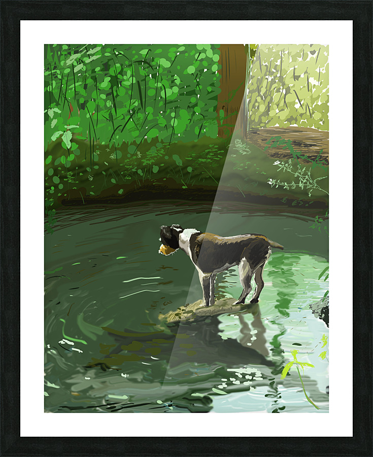 Dog in Brook Picture Frame print