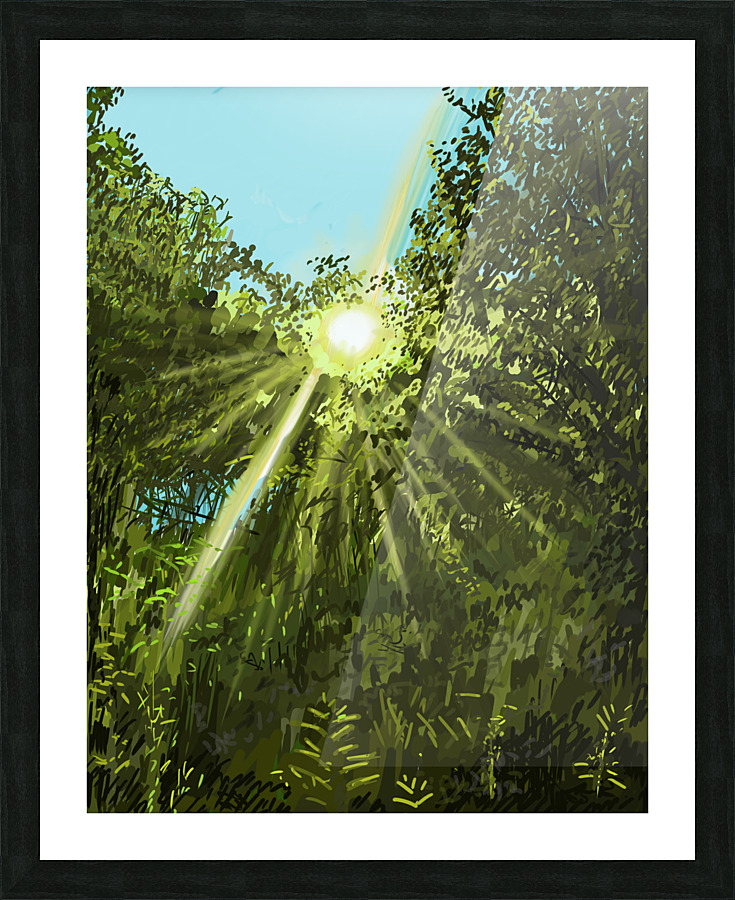 Sun Shine Over Trees Picture Frame print