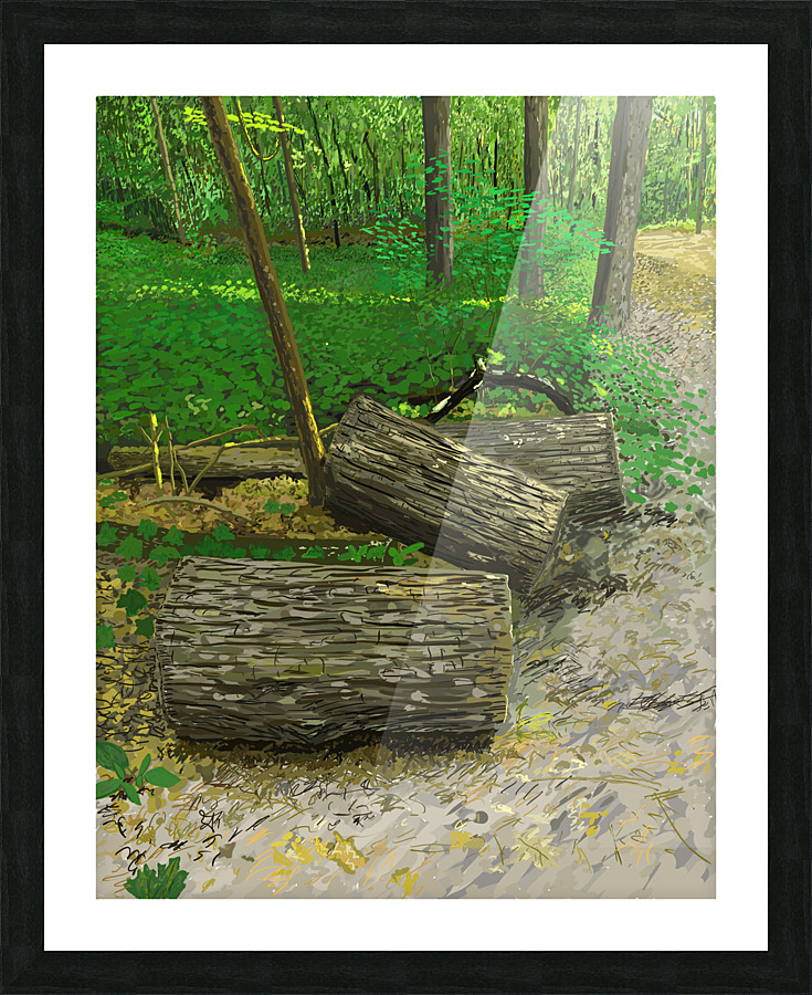 Cut Trees by Path in Forest Picture Frame print