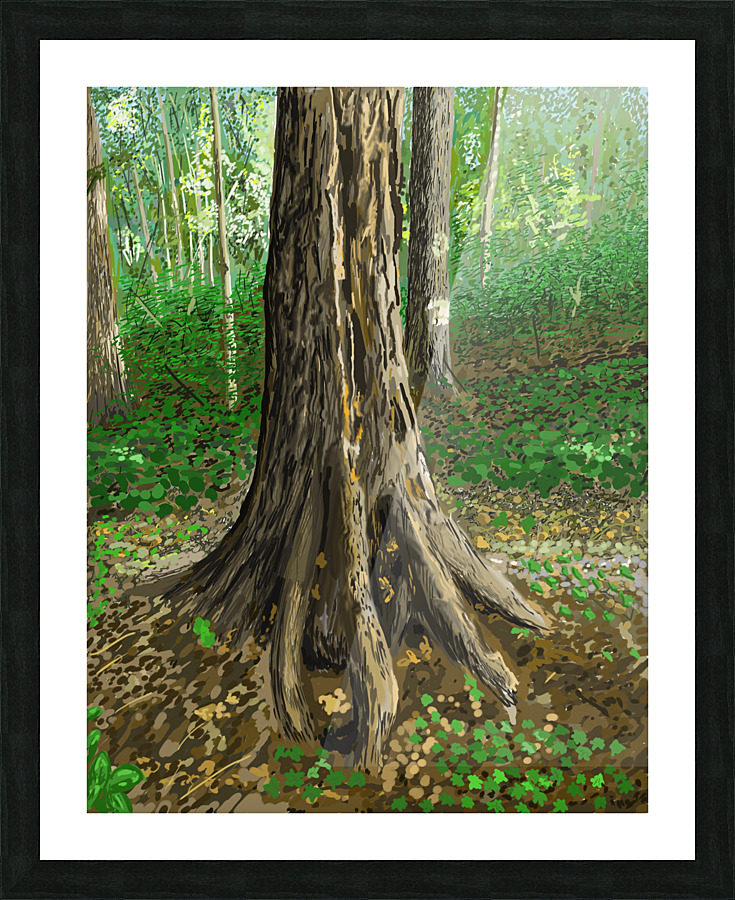 Tree Roots Picture Frame print