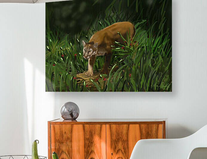 Florida Panther Reproduction