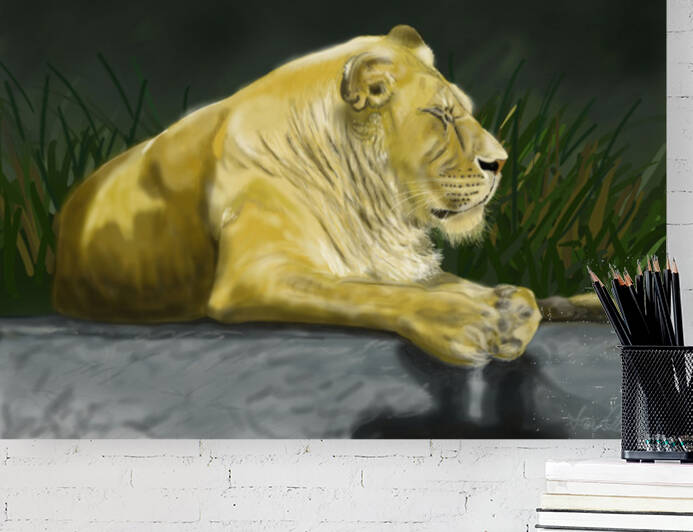 African Lion Reproduction