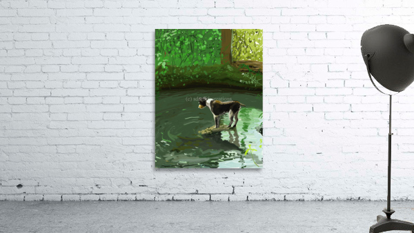 Dog in Brook Wall Preview