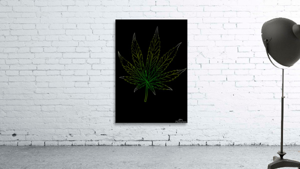 Weed Wall Preview