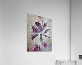 The purple parasol flower Acrylic Print