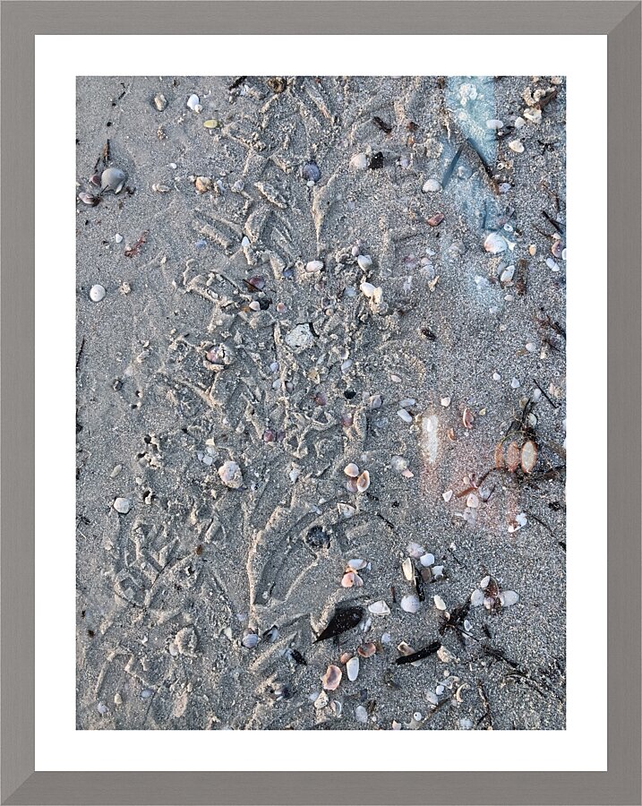 Beach trace. Picture Frame print