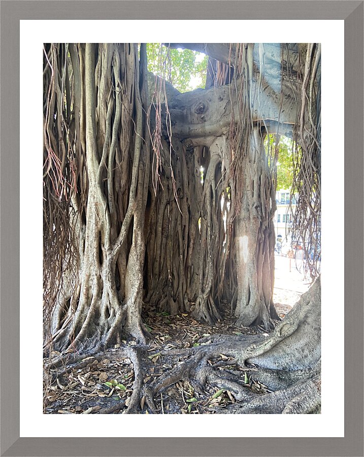 A very special Temple. Picture Frame print