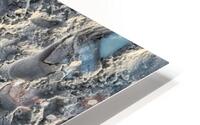 Walking on the Moon. HD Metal print