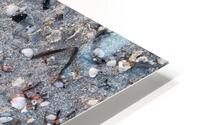 Beach trace. HD Metal print