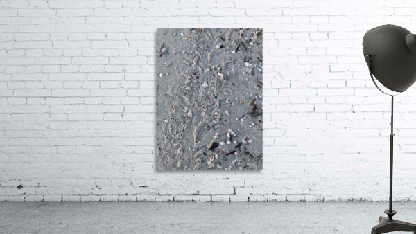 Beach trace. Wall Preview