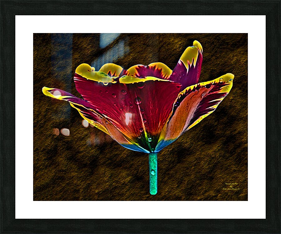 Tulip Art Picture Frame Printing