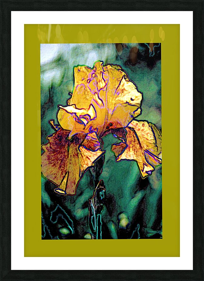 Iris Art Picture Frame Printing