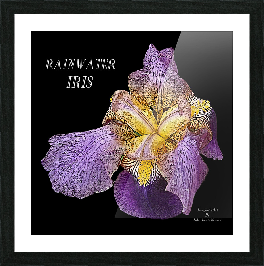 Rainwater Iris Picture Frame Printing