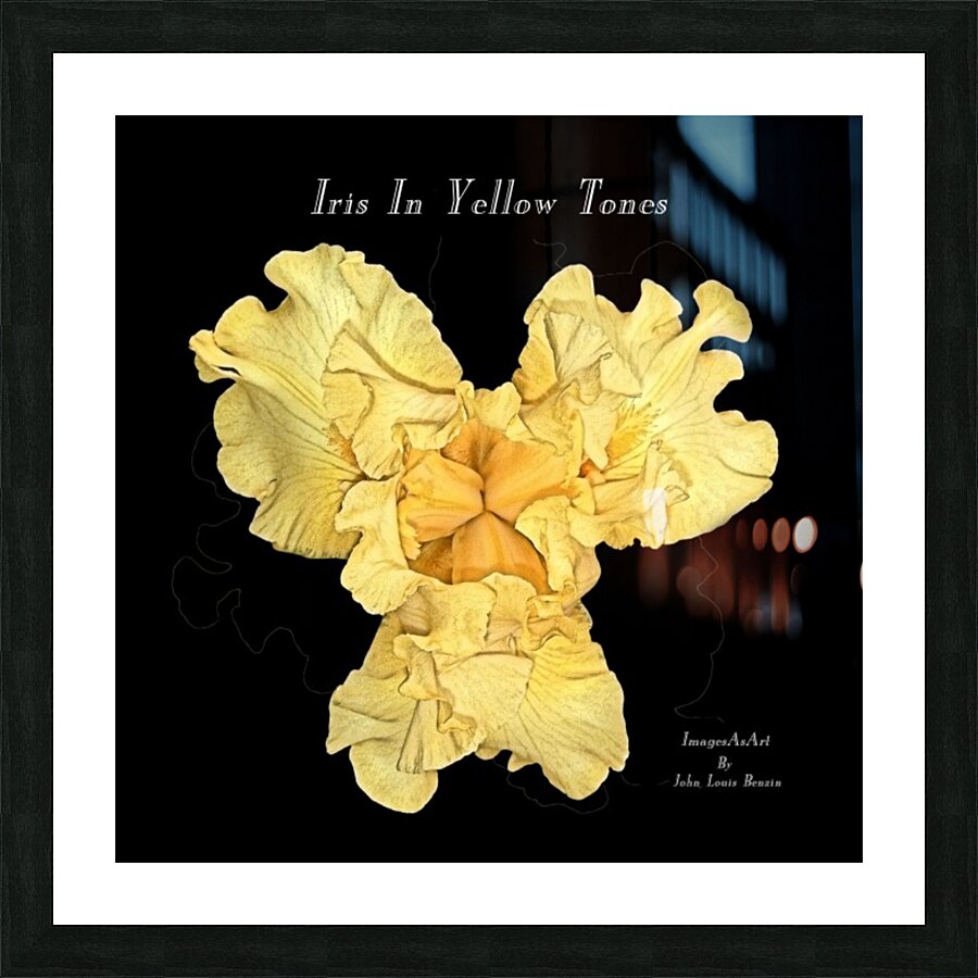 Iris In Yellow Tones Picture Frame Printing