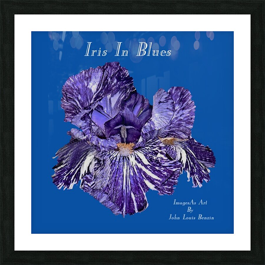 Iris In Blues Picture Frame Printing