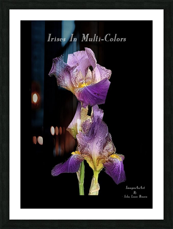 Irises In Multi Colors Picture Frame Printing
