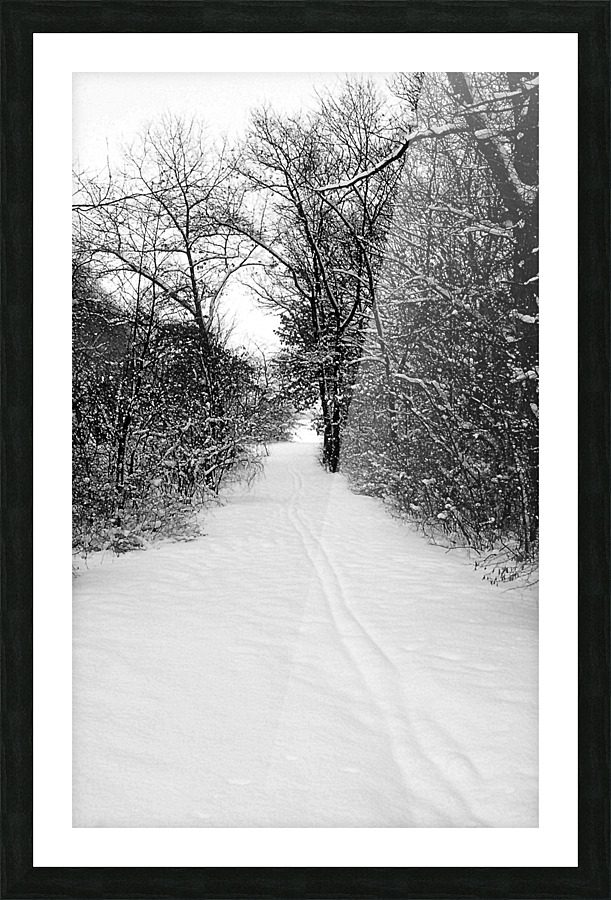 Snow Covered Forest Trail Picture Frame Printing
