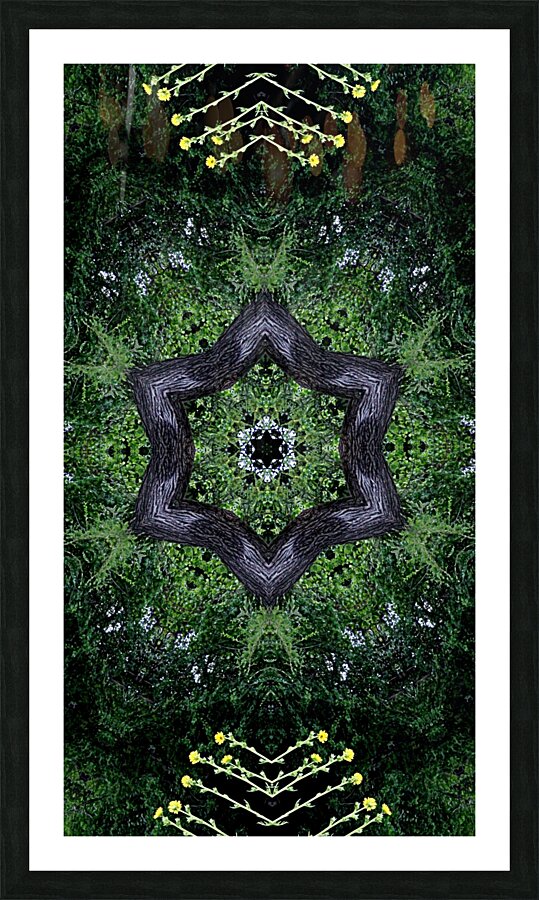 Digital Dark Star Picture Frame Printing