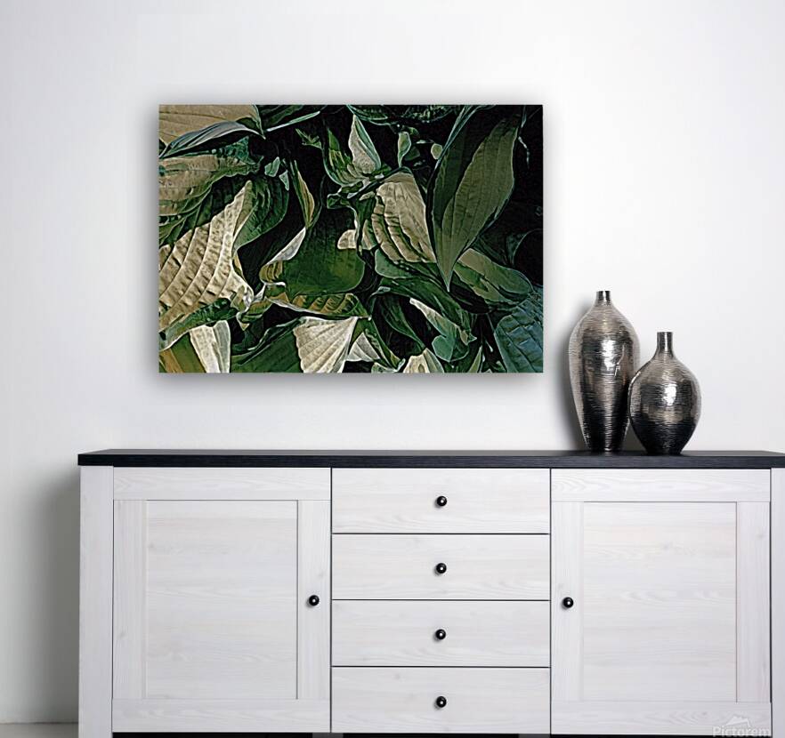 Hosta Leaves In Closeup Reproduction