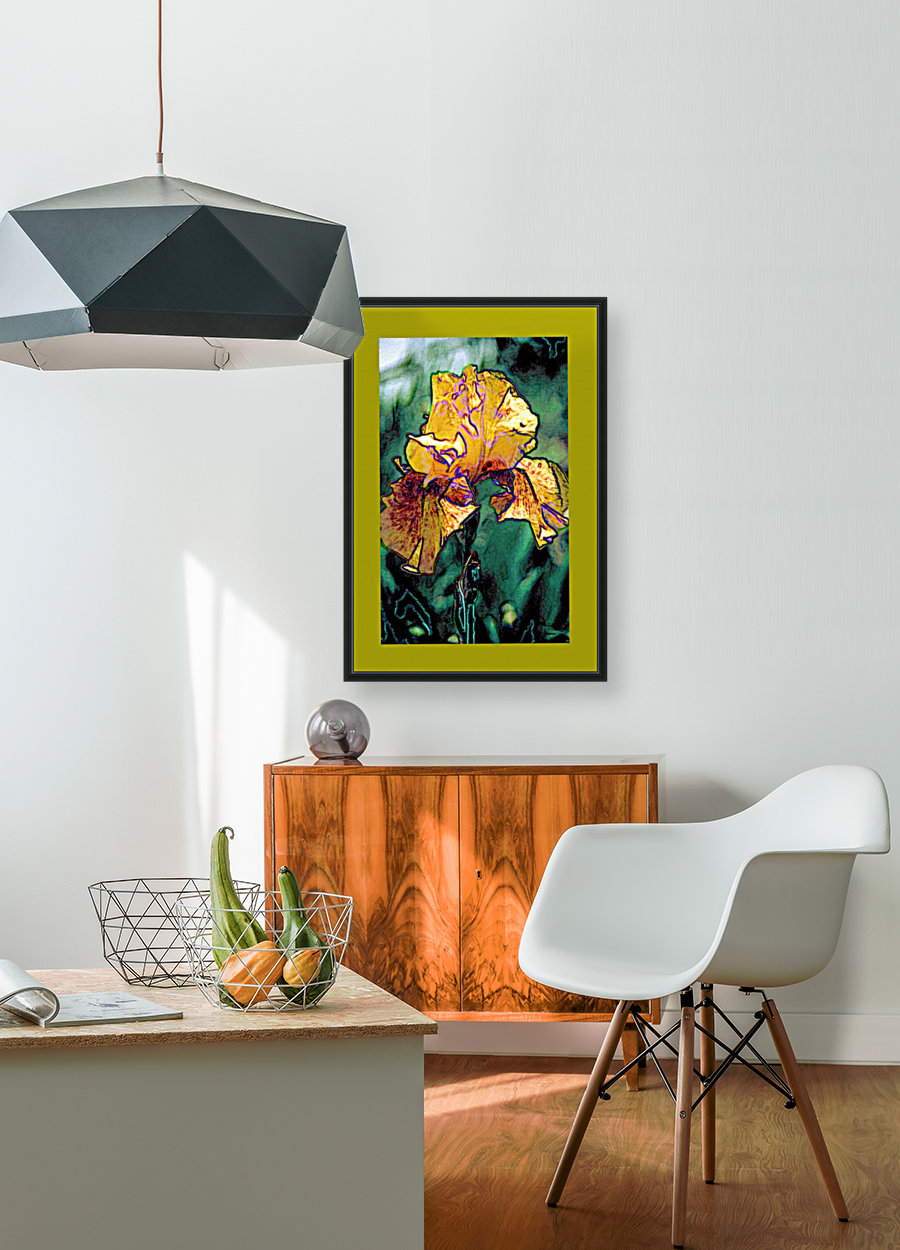 Iris Art Reproduction