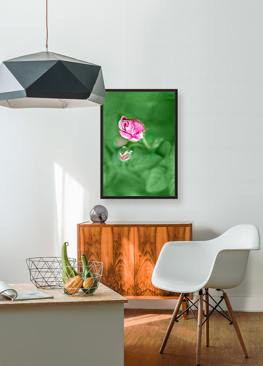 Rose Bud Reproduction