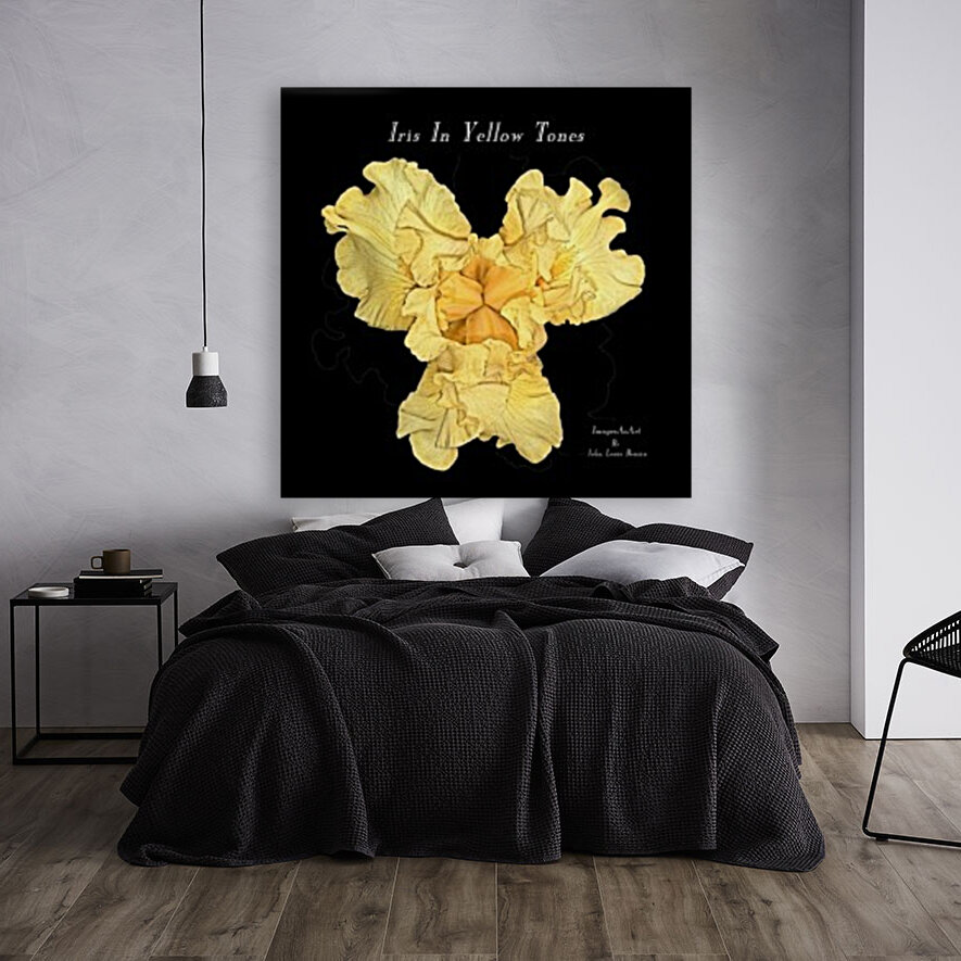 Iris In Yellow Tones Reproduction
