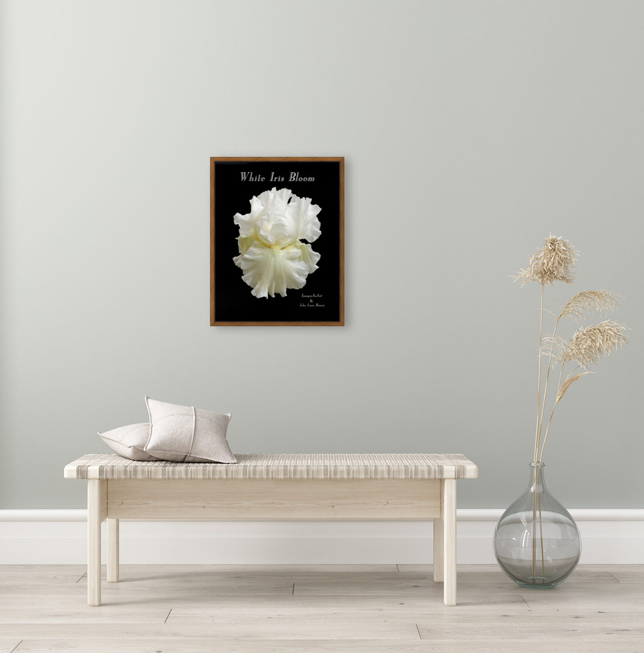 White Iris Bloom Reproduction