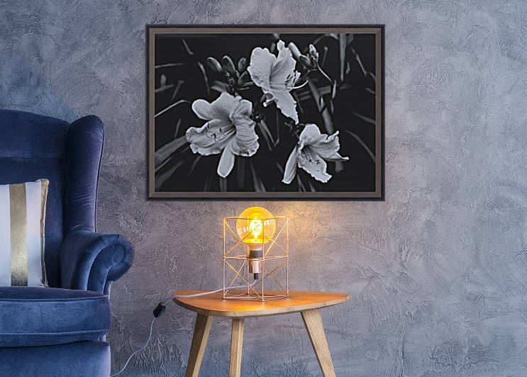 Daylily Triplets In Moonlight by ImagesAsArt By John Louis Benzin