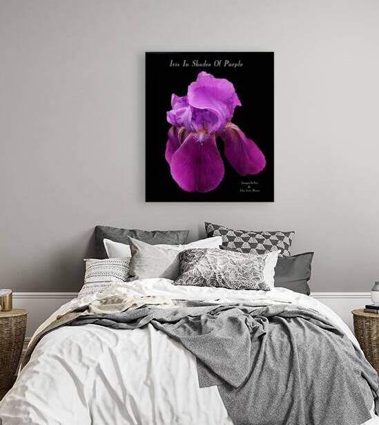 Iris In Shades Of Purple by ImagesAsArt By John Louis Benzin