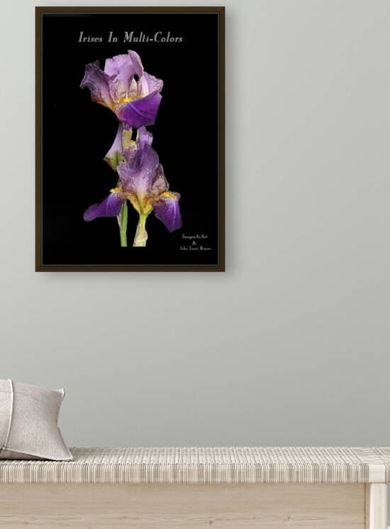 Irises In Multi Colors by ImagesAsArt By John Louis Benzin