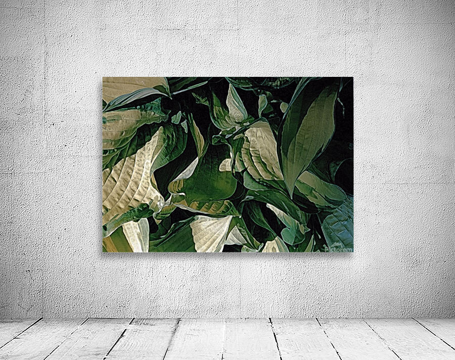 Hosta Leaves In Closeup Wall Preview