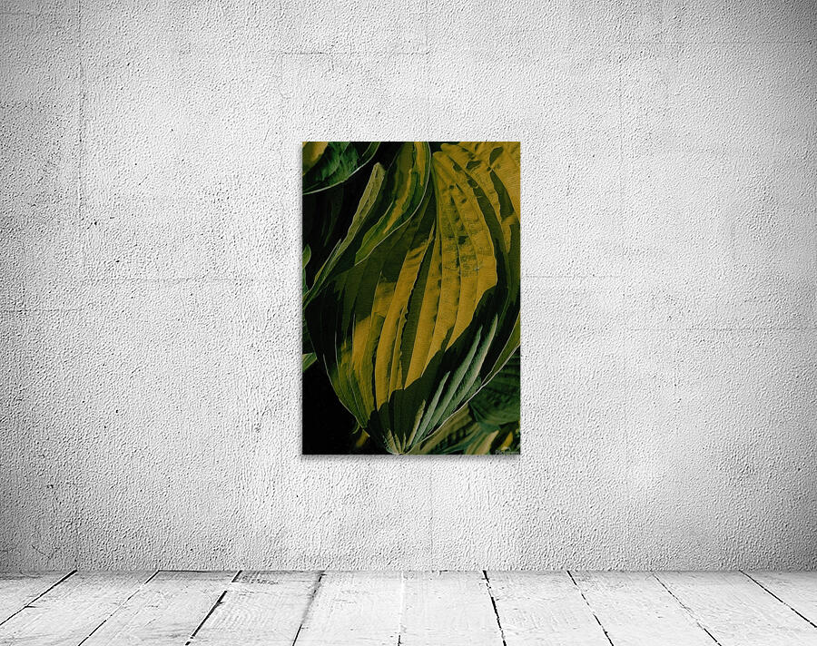 Hosta Leaf Closeup Wall Preview