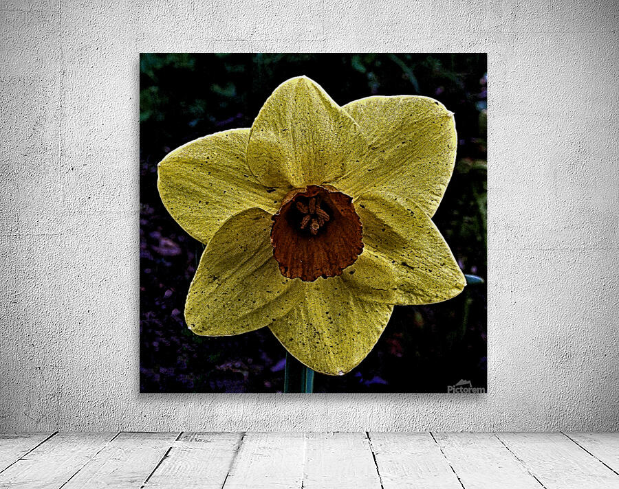 A Dirty Daffodil Bloom Wall Preview