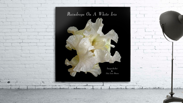 Raindrops On A White Iris Wall Preview