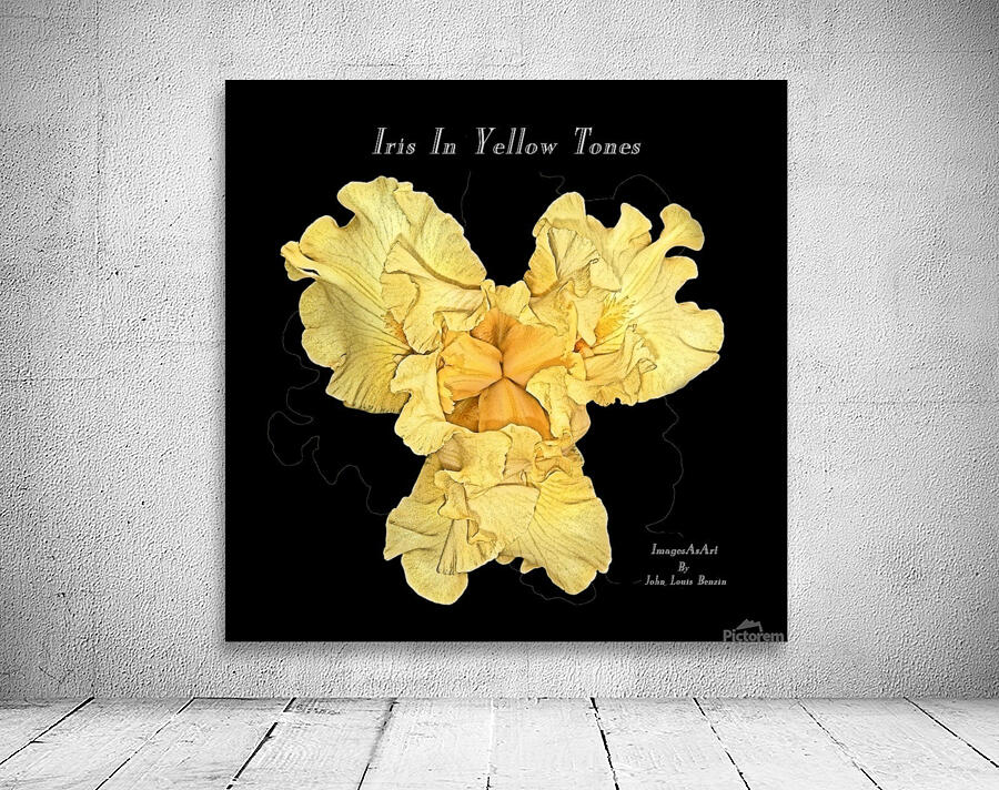 Iris In Yellow Tones Wall Preview