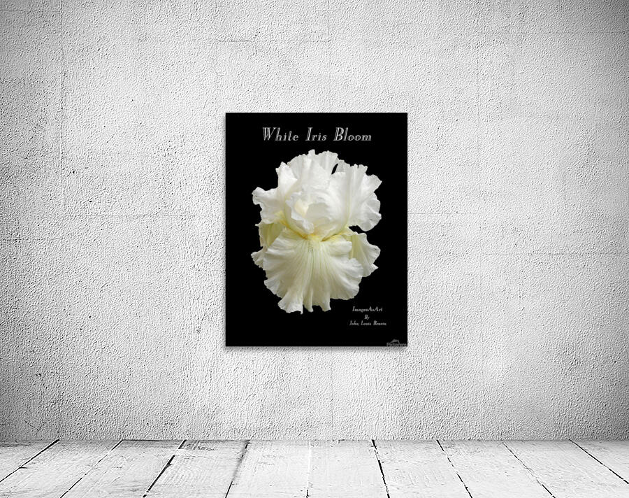 White Iris Bloom Wall Preview
