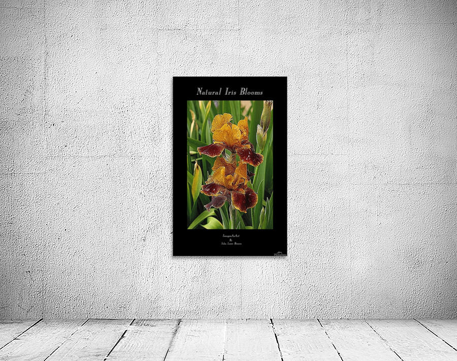 Natural Iris Blooms Wall Preview