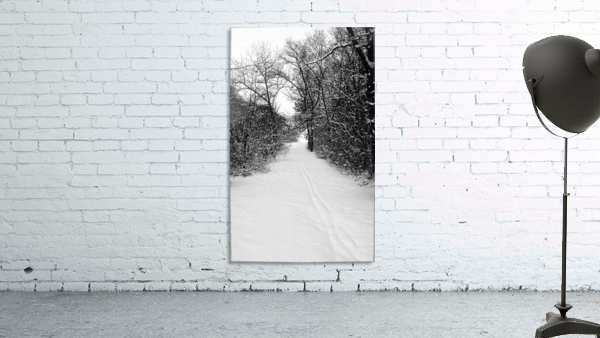 Snow Covered Forest Trail Wall Preview