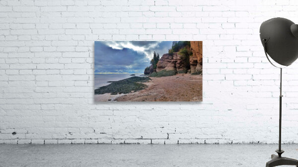 Hopewell Rocks Wall Preview