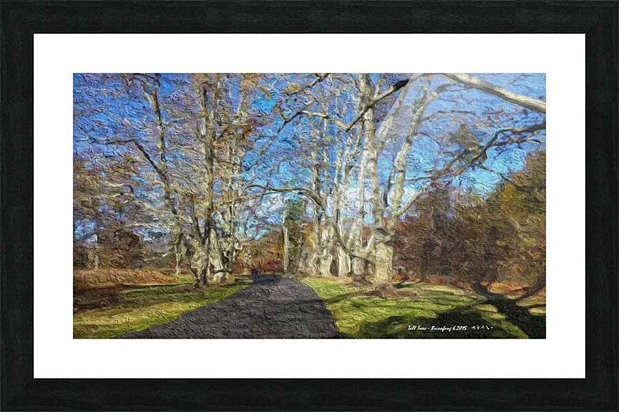 Talltree p Picture Frame print