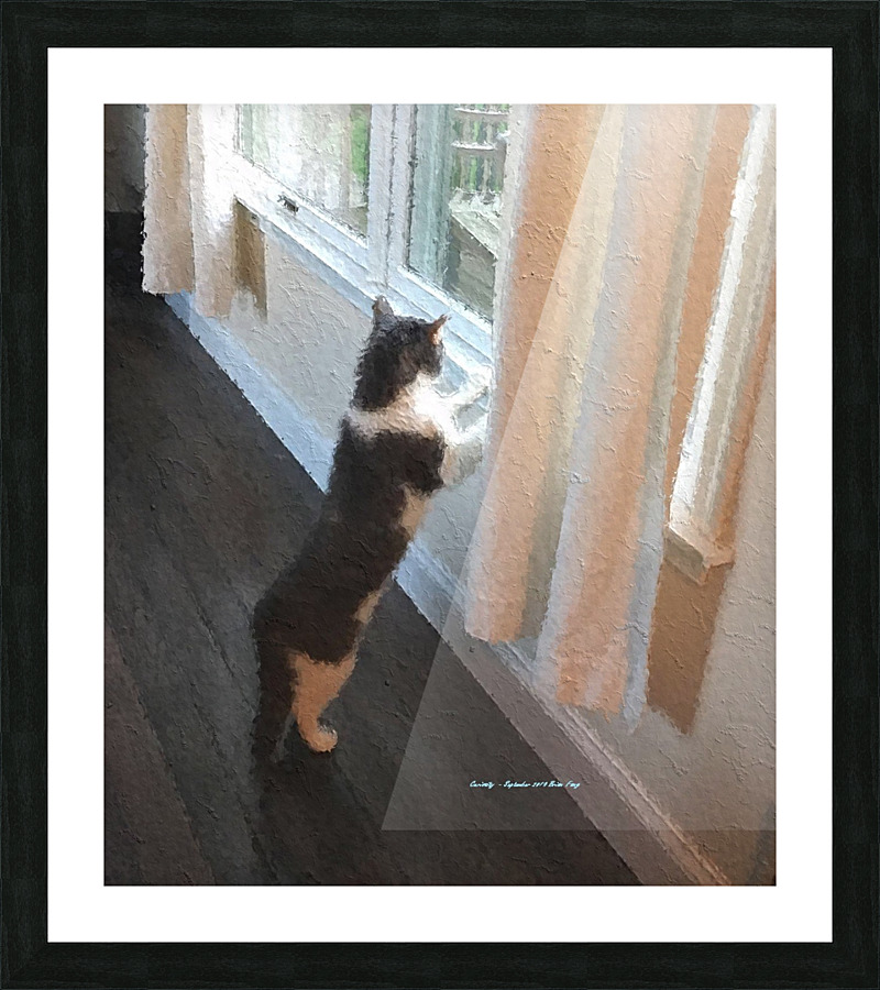 Curiosity Picture Frame print