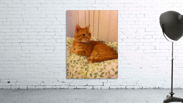 Cat Wall Preview