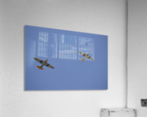 stk105494m Acrylic Print