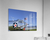stk105463m Acrylic Print