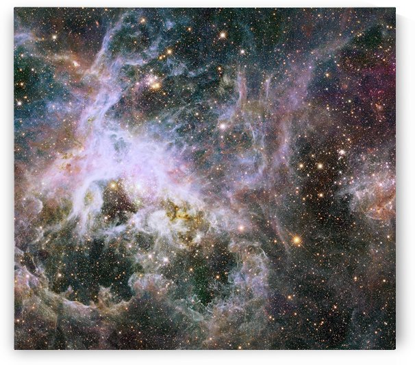 Star formation in the Tarantula Nebula. by StocktrekImages